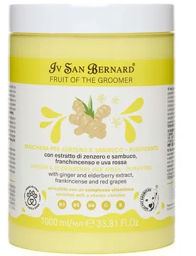 Masque Au Gingembre/sureau 1l 1L