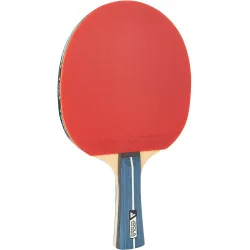 Pala de tenis de mesa TEAM PREMIUM 5 ESTRELLAS