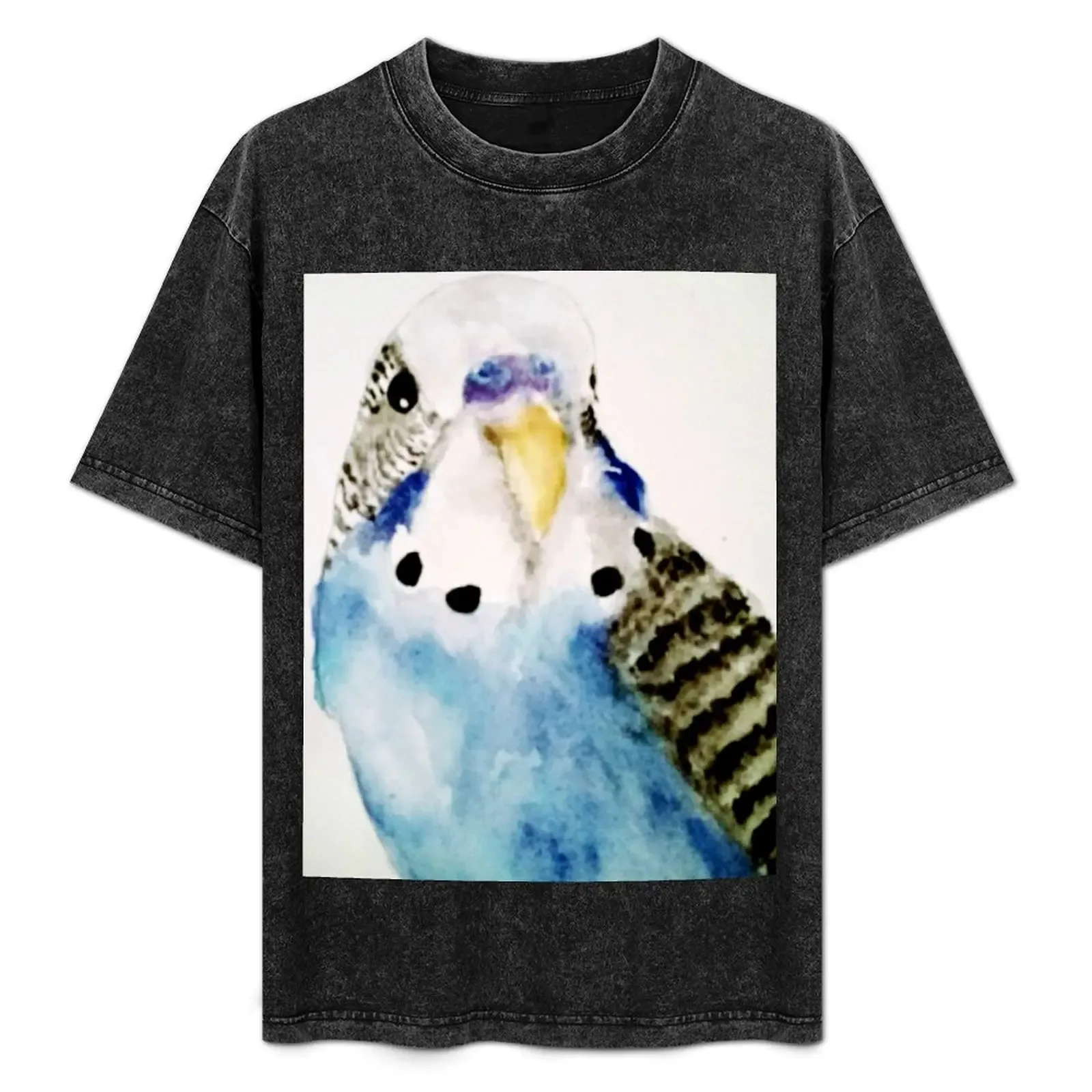 Little Budgie Parakeet Blue Bird T-Shirt Basic Plain Tee for Spring and Summer - Aliexpress - FashionsVida
