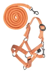 Halfter und Strick Basic HOBBY HORSING orange