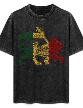 Lion of judah(Moh Anbesa) T-Shirt Plus Size All Match Tee Shirt - Aliexpress - FashionsVida