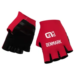 Ale Gants Federazione Danese