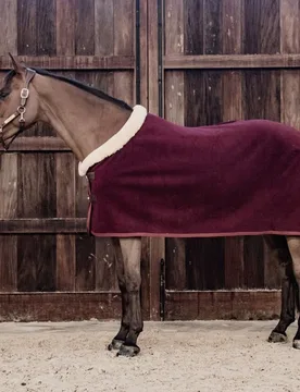 Abschwitzdecke SHOW HEAVY bordeaux 160 cm - Kentucky Horsewear - FashionsVida