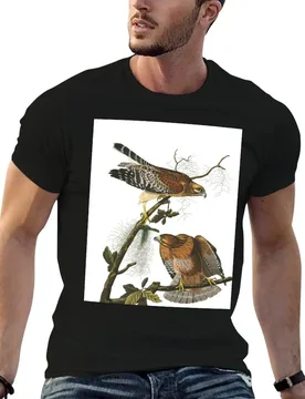 Red-shouldered Hawk - John James Audubon T-Shirt man t shirts cotton black cotton t-shirt plain for man package T-Shirt - Aliexpress - FashionsVida