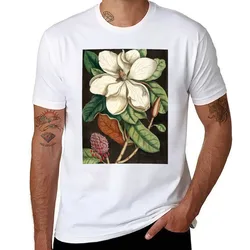 Magnolia Flower Vintage Botanical Illustration, Cute Bull Bay Aesthetic Old Style Floral Aesthetic, Retro Blossom Garden T-Shirt