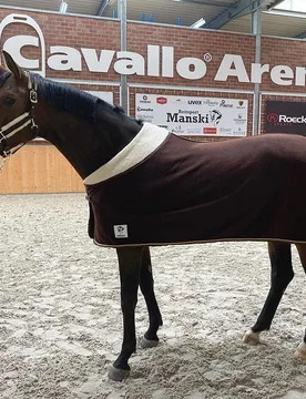 Manski Abschwitzdecke Eternal Flame, brown-gold 155 - Reitsport Manski - FashionsVida