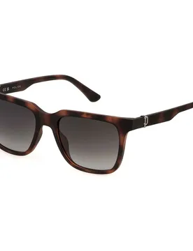 Lunettes De Soleil Spln34 Matt Dark Havana Smoke Gradient Smoke / CAT3