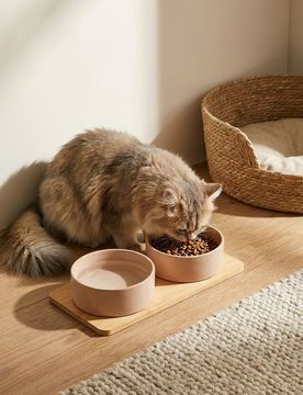 Ciotole in ceramica per animali con base in bambù - panna