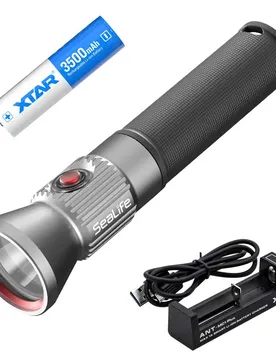 Torcia Sea Dragon Mini 1600 Kit