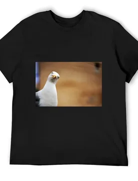 Seagull T-Shirt sports fans summer clothes sweat clothing for men - Aliexpress - FashionsVida