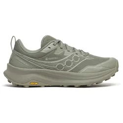 Scarpe Da Trail Running Peregrine 16 Gore-tex® Laurel / Sage EU 40