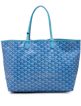 Goyardine Saint Louis PM - Goyard - FashionsVida