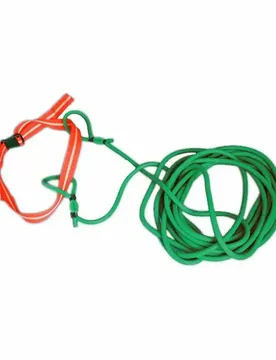 Ceinture D´entraînement à Résistance Haute Densité