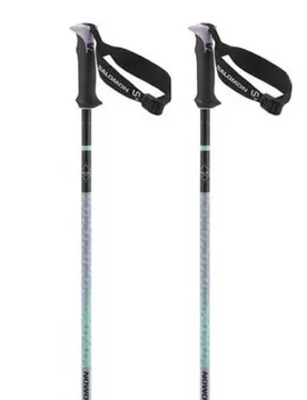 Bâtons Polar Pro S3 Lilac 105 cm Homme