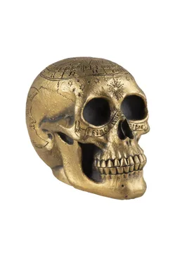 Totenschädel mit goldenem Pentagramm - PTIT CLOWN - FashionsVida