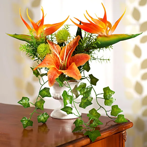 Pagen Strelitzia im Pokaltopf - 3Pagen - FashionsVida