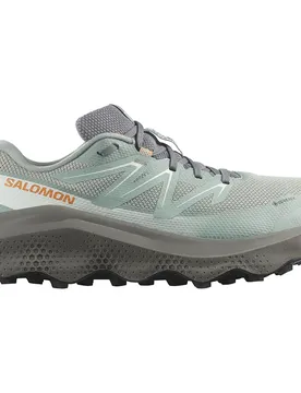 Scarpe Da Trail Running Ultra Flow 2 Gore-tex® Green Milieu / Sedona Sage / Nugget EU 48