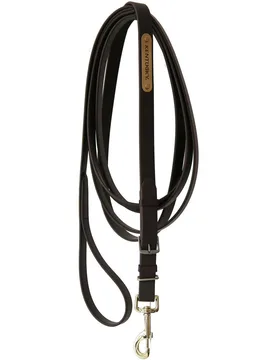 Kentucky Hengstführleine Stallion Lead braun 4m - Kentucky Horsewear - FashionsVida