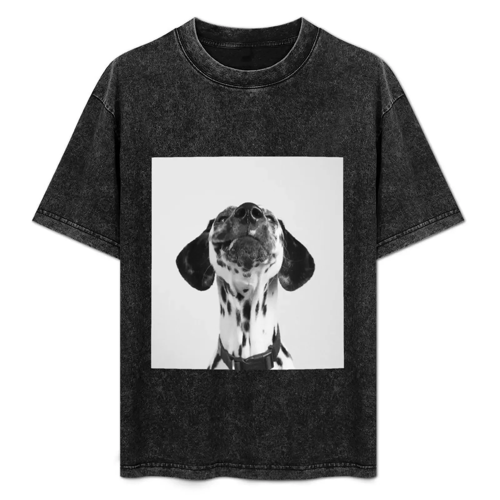 Dalmatian Lovers T-Shirt Comfortable Basic Crew Neck Tee - Aliexpress - FashionsVida