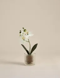 Artificial Small Orchid in Glass Pot White