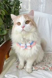 Handmade crochet pet collar scarf, pink blue cream bow bib - Multicolor - Size: One Size