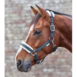 Halfter Elegant, nachtblau VB