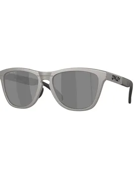 Occhiali Da Sole Polarizzati Frogskins Range Titanium