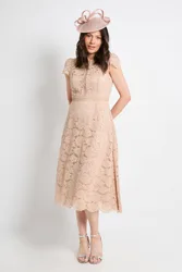 Women's Lace Fit & Flare Midi Dress in Mocha Size: 12 - Mocha - Size: 12