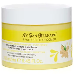 Masque Au Gingembre/sureau 250ml 250ml