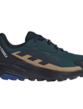 Terrex anylander rainrdy zapatilla trekking hombre Verde (46)