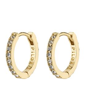 Pendientes 'EBNA' /