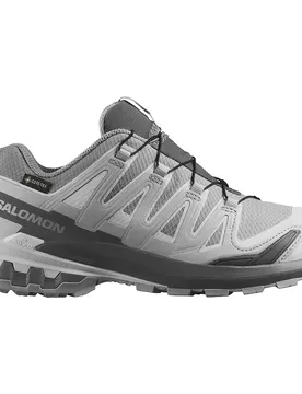 Scarpe Da Trail Running Xa Pro 3d V9 Gore-tex® Alloy / Castlerock / Lunar Rock EU 44