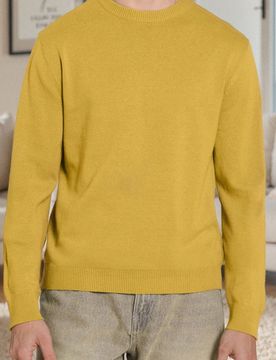 Maglione con maniche lunghe - senape