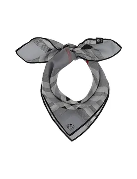 Fraas Foulard en soie gris - Fraas - FashionsVida