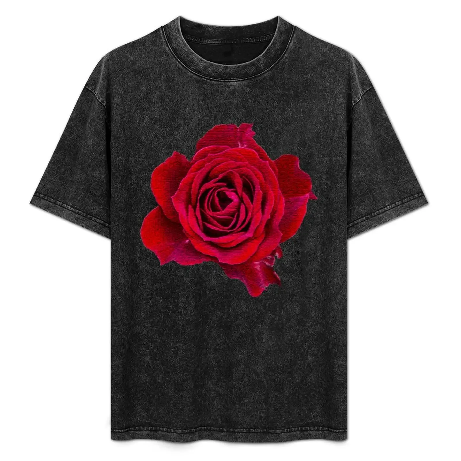 Red rose T-Shirt Holiday Simple Tee Shirt - Aliexpress - FashionsVida