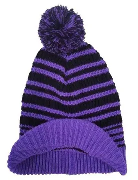 Bonnet Sweet Stripes Violet / Black One Size Homme - Santa Cruz - FashionsVida