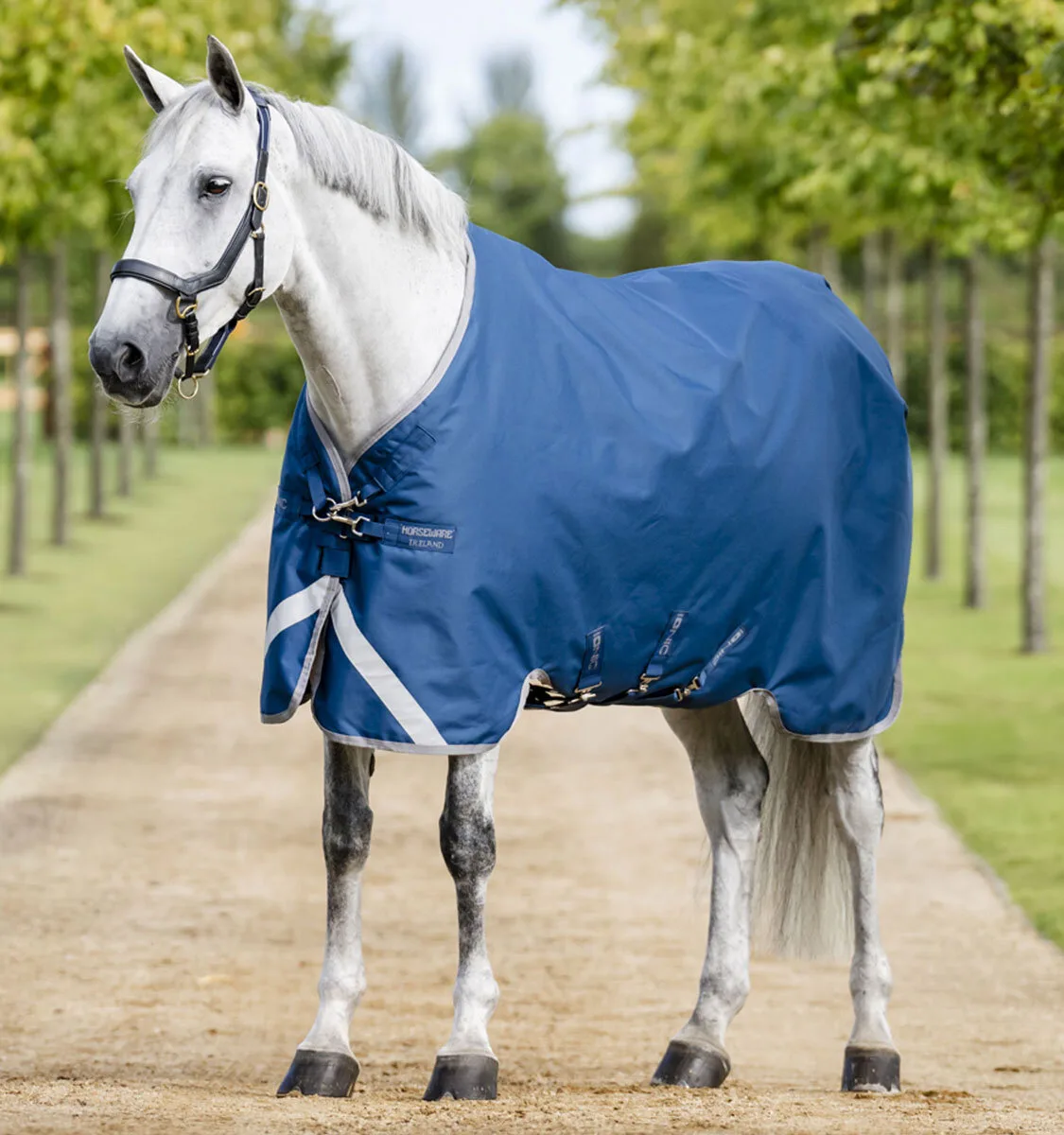 Weidedecke IONIC THERAPY 100g, imperial blue/silver/navy 145 - Horseware - FashionsVida
