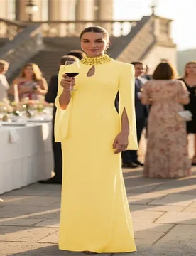 Sheath / Column Floor Length Ball Gown with Cape Evening Gown Formal Dress Elegant Celebrity Style Long Sleeve High Neck Garden - Aliexpress - FashionsVida