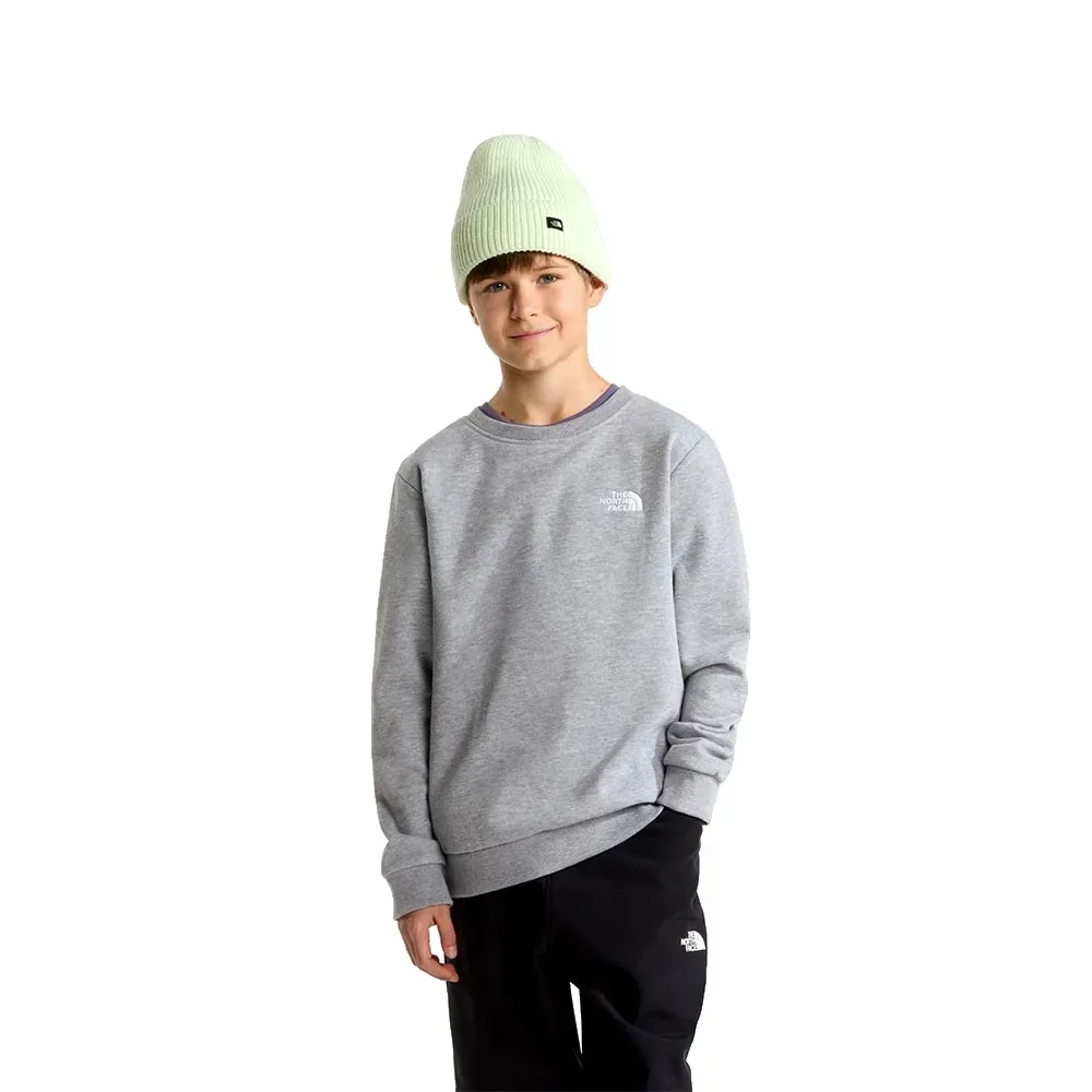 Felpa Evolution Simple Dome TNF Pale Grey Heather M - The North Face - FashionsVida