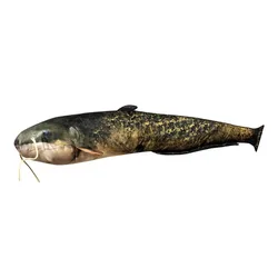 Energoteam Cuscino Pesce Gatto