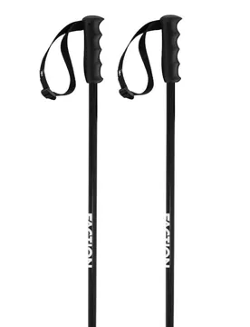 Bâtons Lite Black 110 cm Homme