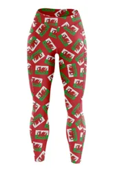 Womens Dragon Dasher Leggings - - Size: M