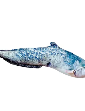 Il Cuscino Gigante A Forma Di Pesce Gatto