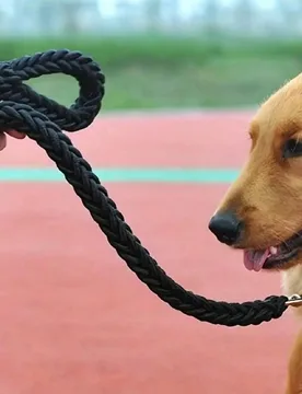 Correa para perro de nailon tejido resistente, cuerda de 8 hebras, extra gruesa y reforzada, adecuada para perros grandes, mango cómodo para entrenam - Shein - FashionsVida