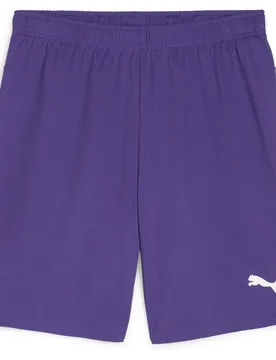 Puma teamGOAL Herren Shorts, lila L - Puma - FashionsVida