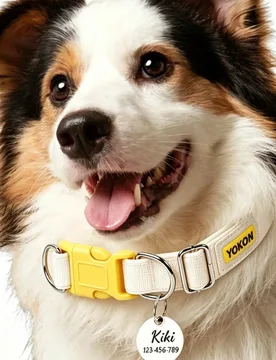 Pieza Collar de perro personalizado con nombre y número de teléfono grabables, cinta de polipropileno engrosada de color dopamina, collar con etique - Shein - FashionsVida