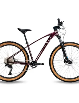 Bicicleta de Montaña unisex Advi 29 - Rali - FashionsVida