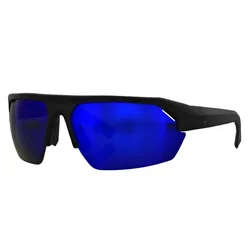 Sport 25 Polarized Sunglasses Matte Black / Smoke Blue One Size Men,Women