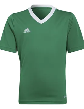 Kindertrikot Entrada 22 - Vert - unisex - Size: 13/14 ans
