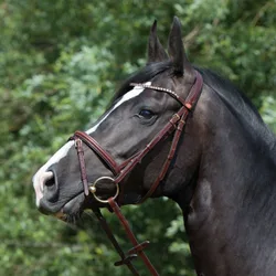 Trensenzaum Arezzo mit Swarowski Elements, braun Warmblut